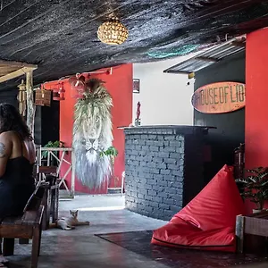 House Of Lion Guest house